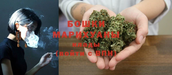 молекула духа Аркадак
