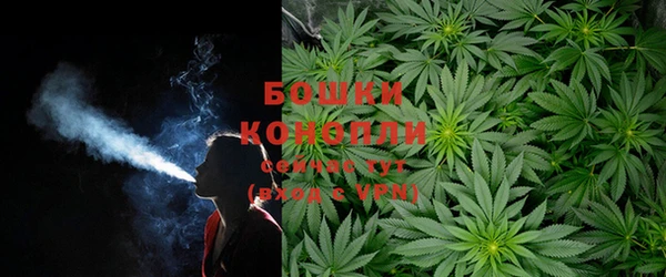 молекула духа Аркадак