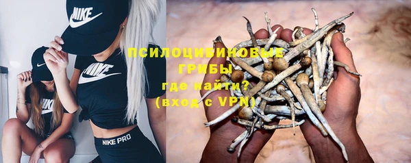 молекула духа Аркадак